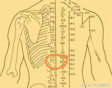 消積穴|醫砭 » 經穴庫 » 懸樞